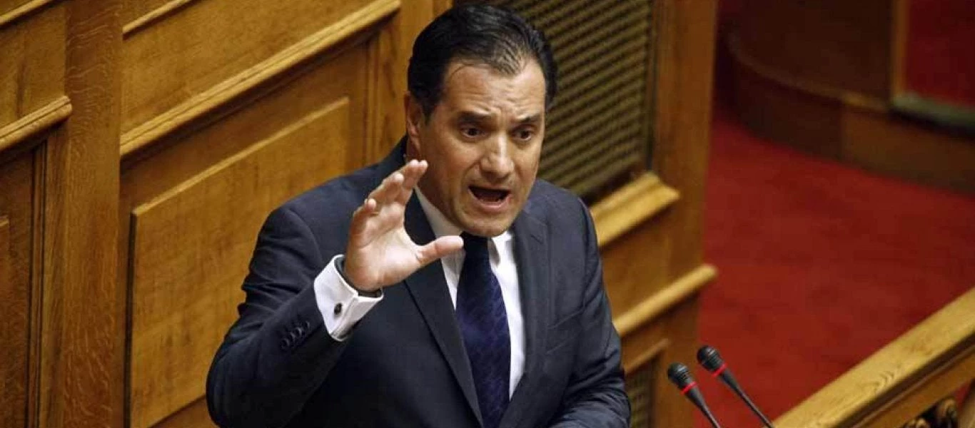 Γεωργιάδης: Τραγέλαφος η αντίδραση της κυβέρνησης στο δημοψήφισμα των Σκοπίων